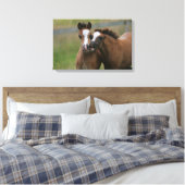 Foals afspelen canvas afdruk (Insitu (Slaapkamer))