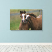 Foals afspelen canvas afdruk (Insitu (Houten vloer))