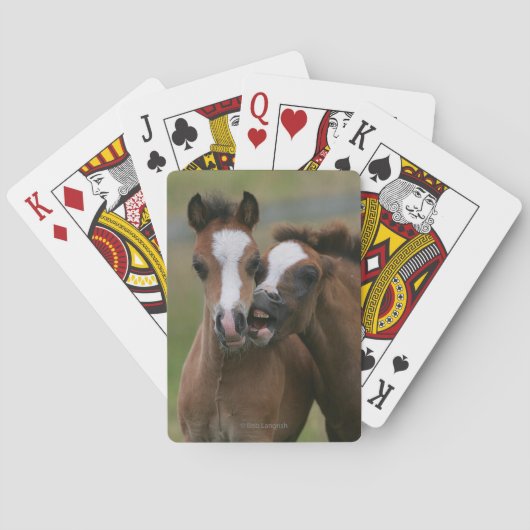 Foals afspelen pokerkaarten (Achterkant)