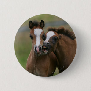 Foals afspelen ronde button 5,7 cm