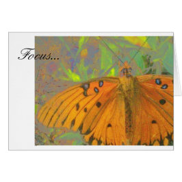 Focus Butterfly