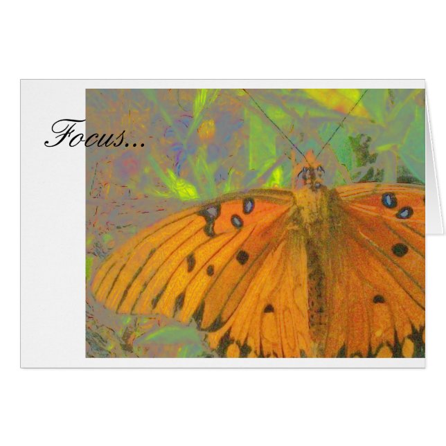 Focus Butterfly (Voorkant Horizontaal)