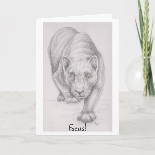 Focus ! carte de voeux (Devant)