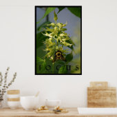Focus Inspiration Message Poster Art Photo Print (Cuisine)