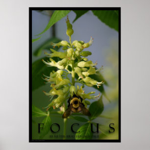 Focus Inspirerend Message Poster Art Foto afdrukke