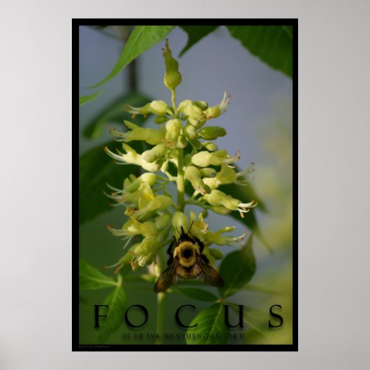 Focus Inspirerend Message Poster Art Foto afdrukke (Voorkant)