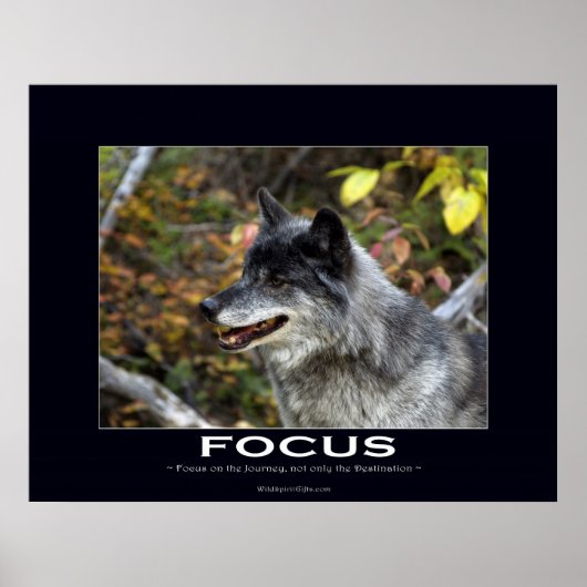 FOCUS Motivational Poster (Devant)