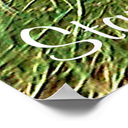 Focus _ Poster (Coin)