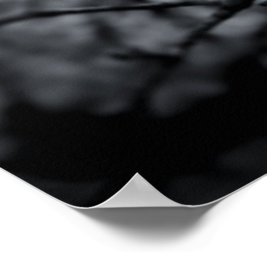 "Focus" Poster en fleurs noir et blanc (Coin)