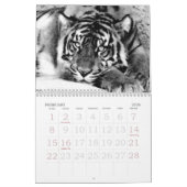 Focus & Strength_2010 Calendar-by Elenne Boothe Kalender (Feb 2026)