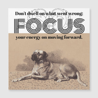 Focuscitaat op grote hond Afbeeldings-aanmoediging