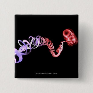 foetus met een navelstreng gemaakt van DNA-strenge Vierkante Button 5,1 Cm