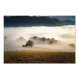 Fog Covered Shack in Meadow Foto Afdruk