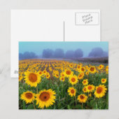 Fog de levage, carte postale (Devant / Derrière)