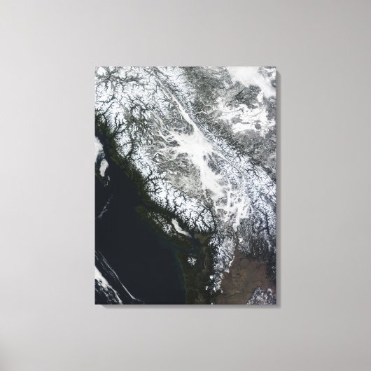 Fog en sneeuw in British Columbia Canvas Afdruk (Voorkant)