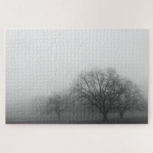 Fog in Texas Hill Country Legpuzzel (Horizontaal)