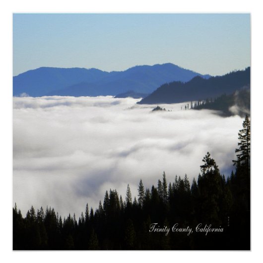 Fog-meer door bomen... perfect poster (Voorkant)