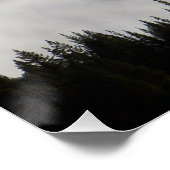 Fog-meer door bomen... perfect poster (Hoek)