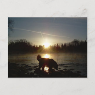 Fog over Mississippi Briefkaart