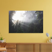 Fog & Sun Beams in een Washington Forest Canvas Afdruk (Insitu (Woonkamer))