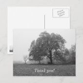 Foggy Autumn Morning Grayscale Briefkaart (Voorkant / Achterkant)