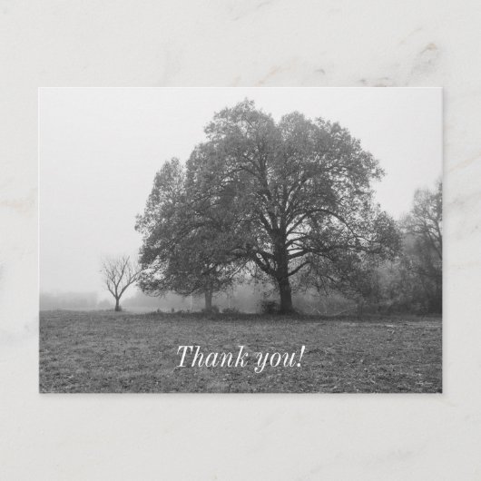 Foggy Autumn Morning Grayscale Briefkaart (Voorkant)