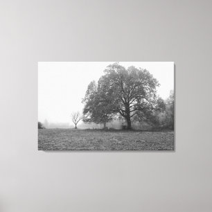 Foggy Autumn Morning Grayscale Canvas Afdruk
