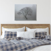 Foggy-boom Canvas Afdruk (Insitu (Slaapkamer))