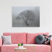 Foggy-boom Canvas Afdruk (Insitu (Woonkamer))