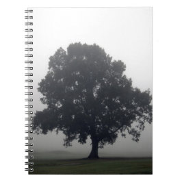 Foggy-boom Notitieboek