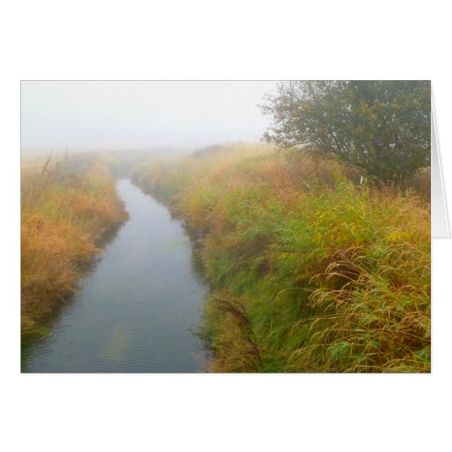 Foggy creek 2 (Devant horizontal)