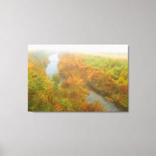 Foggy creek canvas afdruk