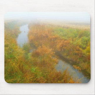 Foggy creek muismat