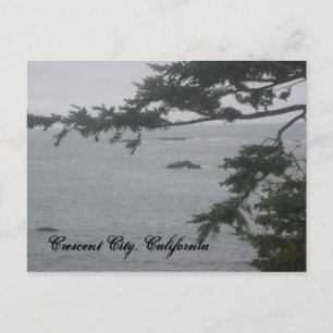 Foggy Day in Crescent City Briefkaart