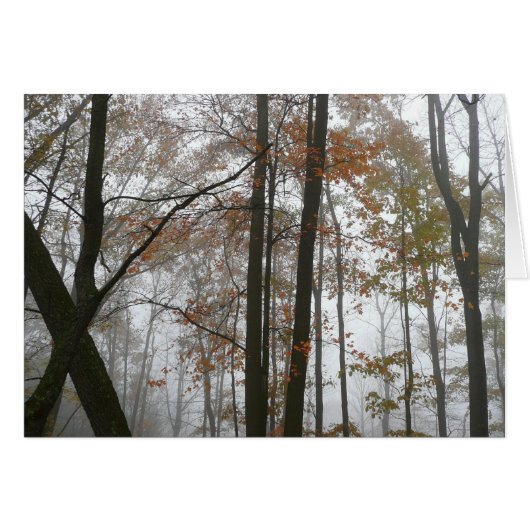 Foggy Fall en Pennsylvanie Automne Nature (Devant horizontal)