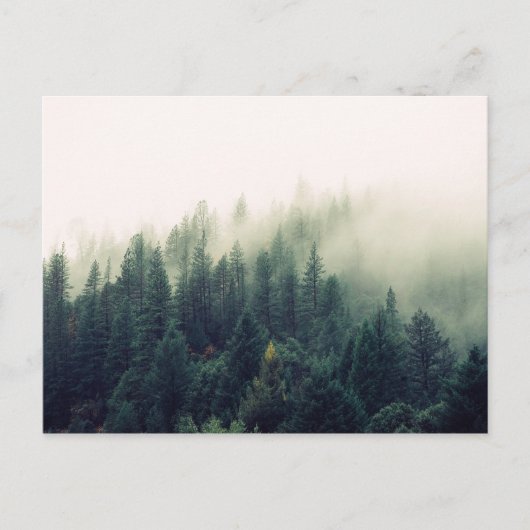 Foggy Forest Briefkaart (Voorkant)