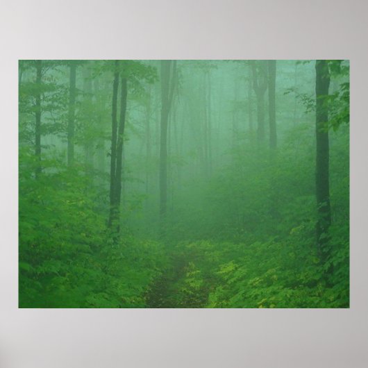 Foggy Forest Poster (Voorkant)