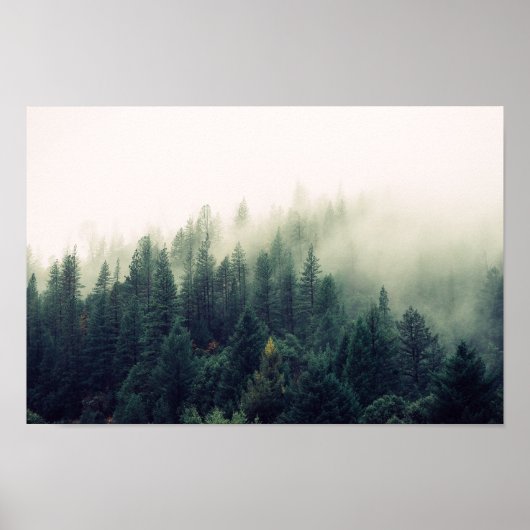 Foggy Forest Poster (Voorkant)