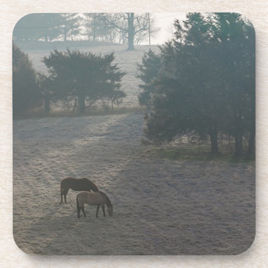 Foggy Grazing Drankjes Onderzetter (Voorkant)