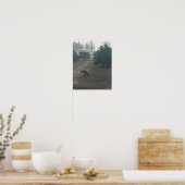 Foggy Grazing Poster (Keuken)
