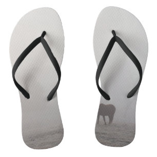 Foggy Grazing Teenslippers
