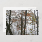 Foggy Herfst in Pennsylvania Autumn Natuur Briefkaart (Voorkant / Achterkant)