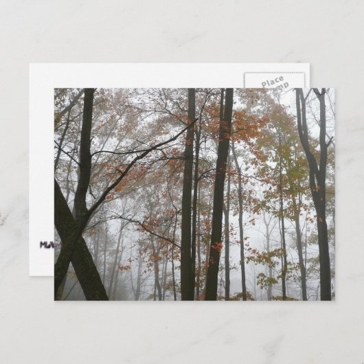 Foggy Herfst in Pennsylvania Autumn Natuur Briefkaart (Voorkant / Achterkant)