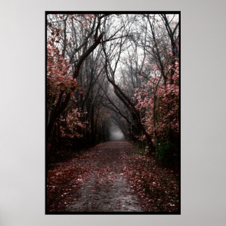 Foggy Herfst Trail Poster
