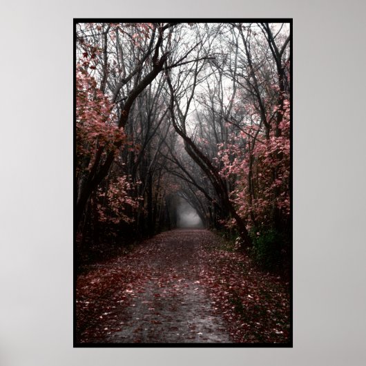 Foggy Herfst Trail Poster (Voorkant)