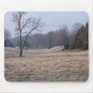 Foggy Meadow Muismat