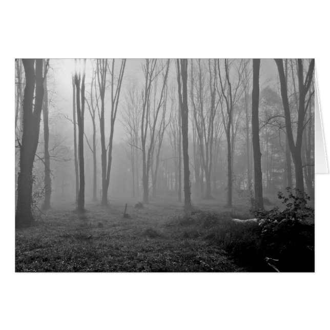 Foggy Morning (Voorkant Horizontaal)