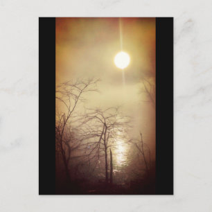 Foggy Morning Briefkaart