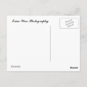 Foggy Morning Briefkaart (Achterkant)