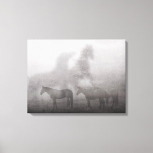Foggy Morning Horse Canvas Afdruk